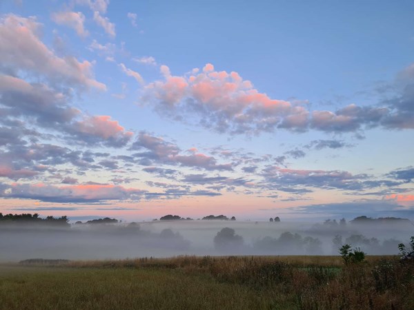 Dagens billede: Morgenstund har t�ge i mund