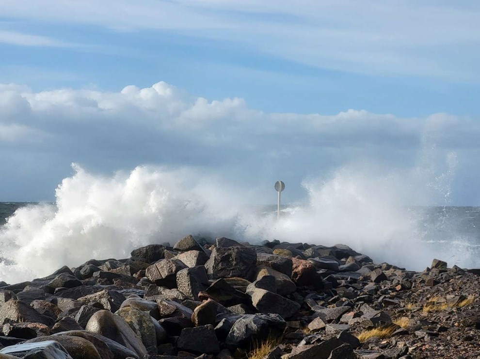 Dagens billede: �sters�en viser t�nder