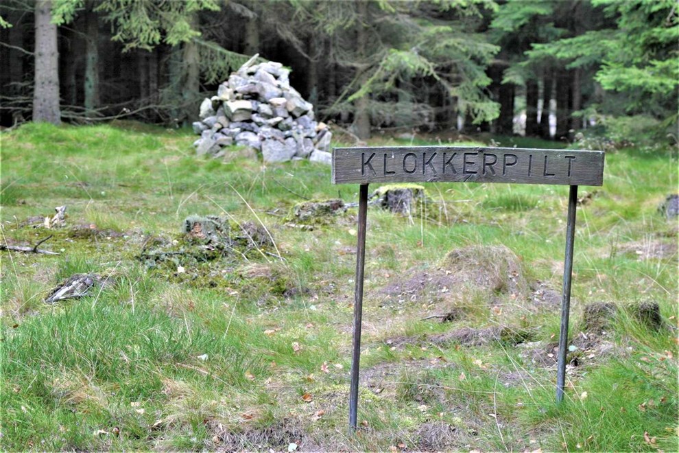 Svampe og varder med uhyggelige historier Svampe og varder med uhyggelige historier