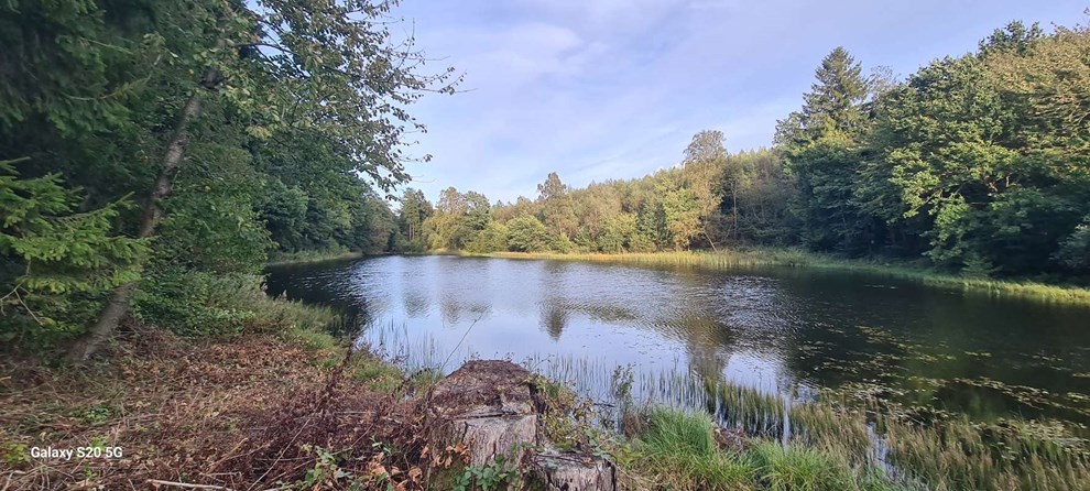 Dagens billede: �rsballe Mosen set fra Fuglemosen