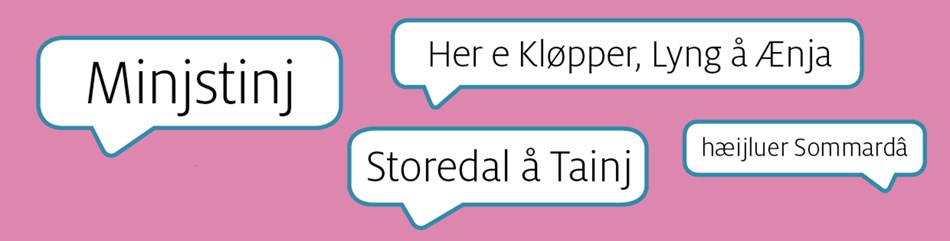 En rujnntorrn p� Borrijnholm