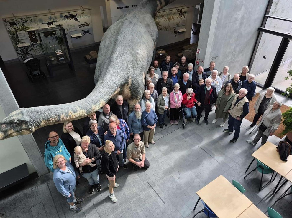 Fire byer besgte Natur Bornholm
