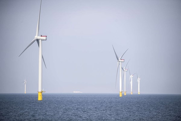 Forts�tter kampen mod staten: 'Det her er en ny fejl'