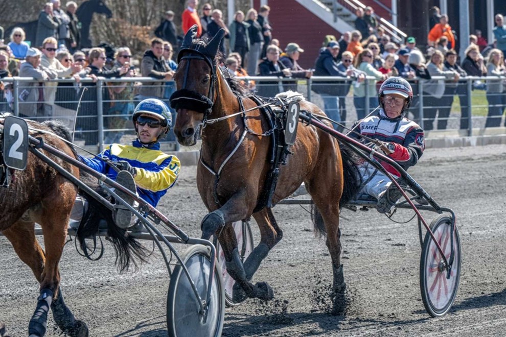 Klar til den store GL-finale Klar til den store GL-finale