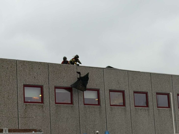 Brandfolkene s&oslash;rgede for, at den l&oslash;se tagpap kom sikkert ned p&aring; jorden. Foto: Presse-fotos.dk