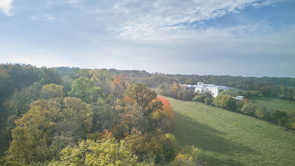 Kunstmuseet og kulturugen lefler videre Kunstmuseet og kulturugen lefler videre