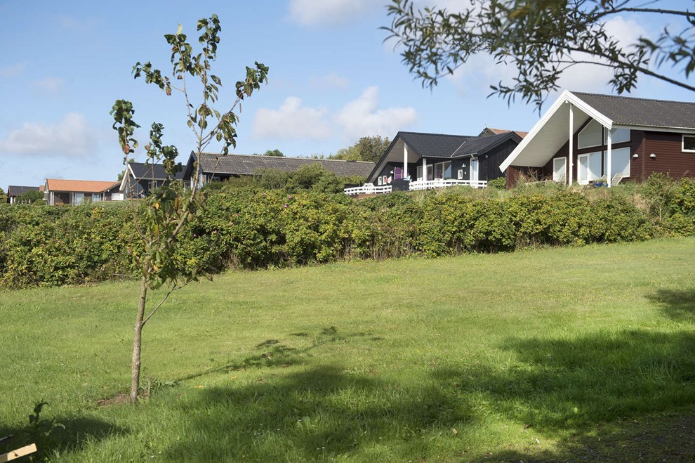 Priserne eksploderede 33 pct. på bare ét år Priserne eksploderede 33 pct. på bare ét år