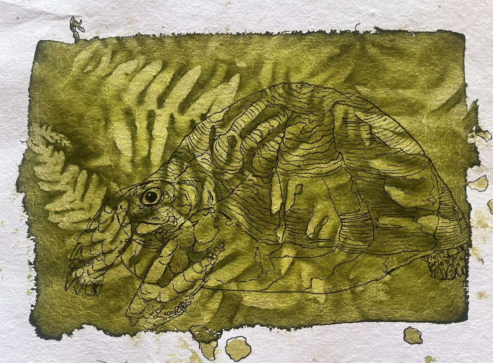 Kat og co. giver fantasi og natur frit l�b