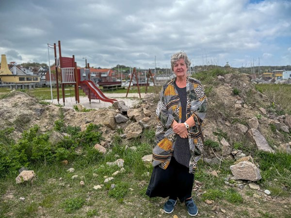 Formand: Nej, vi hader ikke flexboligejere