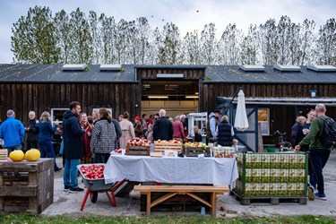 Store planer på Østermarievej
