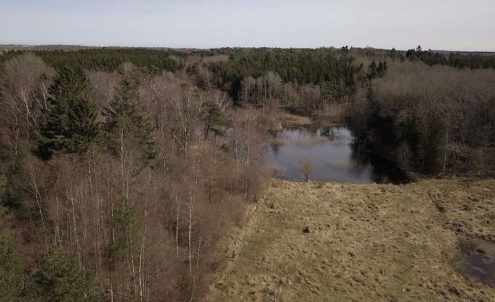 42 vandløb skal krydses: Hegn om naturnationalpark i høring 42 vandløb skal krydses: Hegn om naturnationalpark i høring