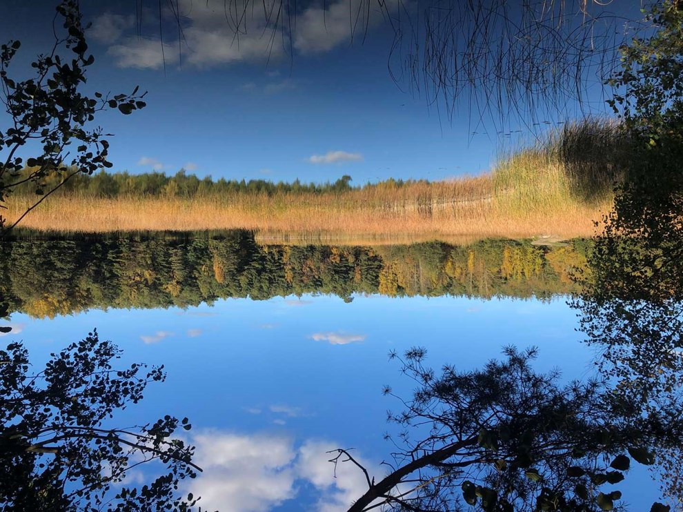 Dagens billede: P� tur ved Skovly