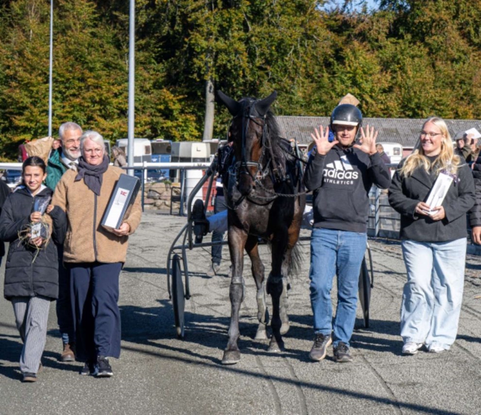 Alle top 3-heste til start Alle top 3-heste til start