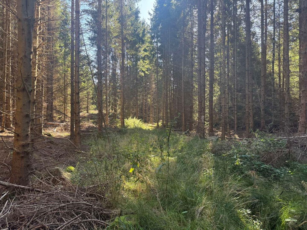 Finder sted over hele landet - undtagen Bornholm Finder sted over hele landet - undtagen Bornholm