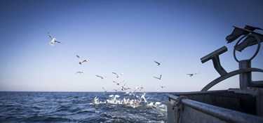 'Det her risikerer at blive en dødsdom'