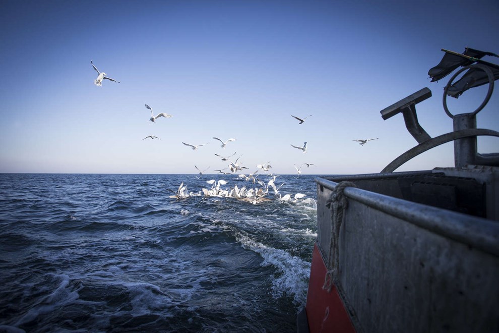 'Det her risikerer at blive en dødsdom'  'Det her risikerer at blive en dødsdom'