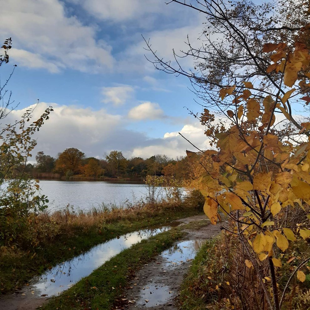 Dagens billede: Stenbrudssen Nex