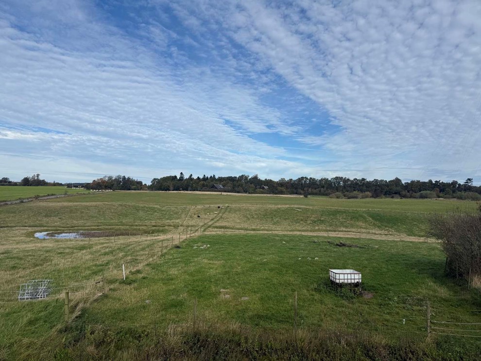 Når naturen bliver til et projekt Når naturen bliver til et projekt