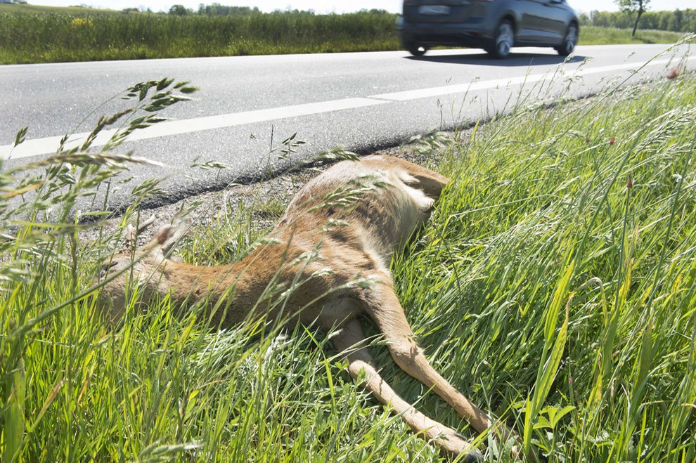 Bornholm p tredjeplads i ulykkesstatistik