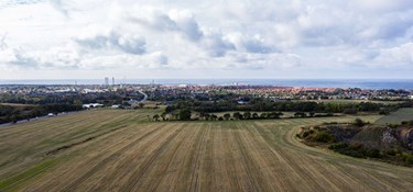 Vi skal ikke være svinebundne