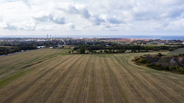 Vi skal ikke v�re svinebundne