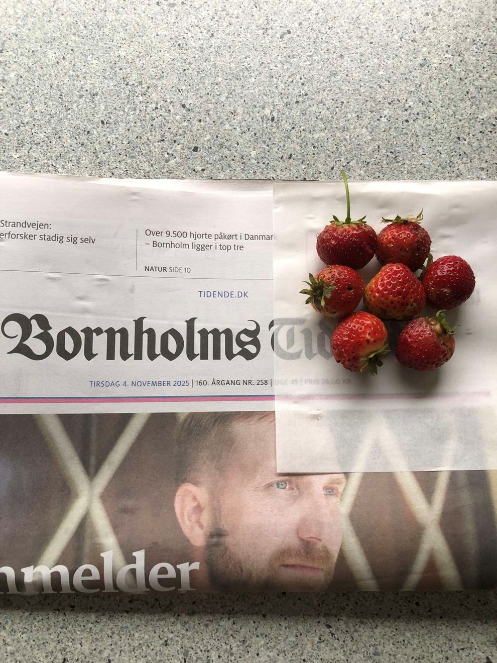 Dagens billede: Mon ikke, det er årets sidste jordbær? Dagens billede: Mon ikke, det er årets sidste jordbær?