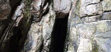 Bornholmske grotter og huler med lysende mos