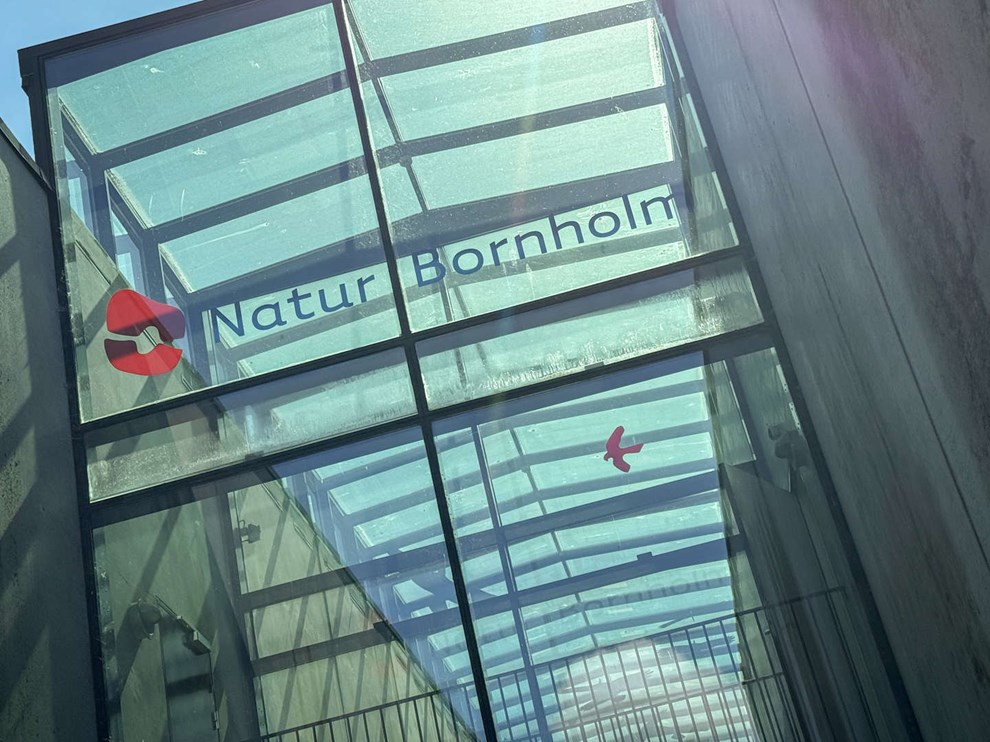 Naturbornholm inviterer gster med skjult handicap