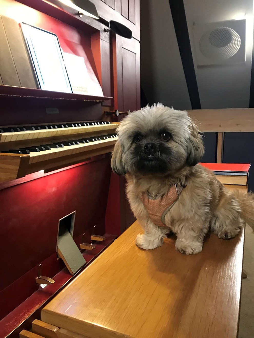 Kirken må godt swinge lidt mere Kirken må godt swinge lidt mere