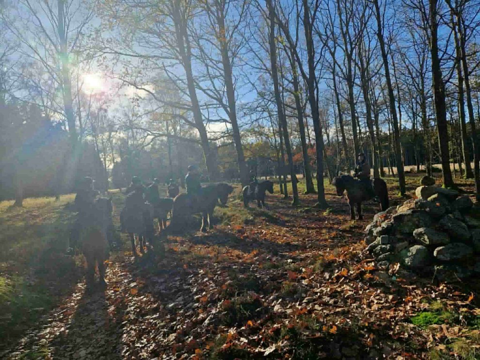 Ryttere red tilbage i tiden