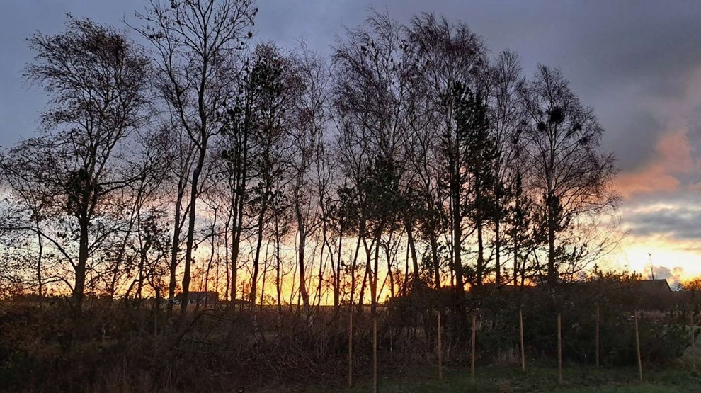 Dagens billede: Solopgangen ser fra Nyker Dagens billede: Solopgangen ser fra Nyker