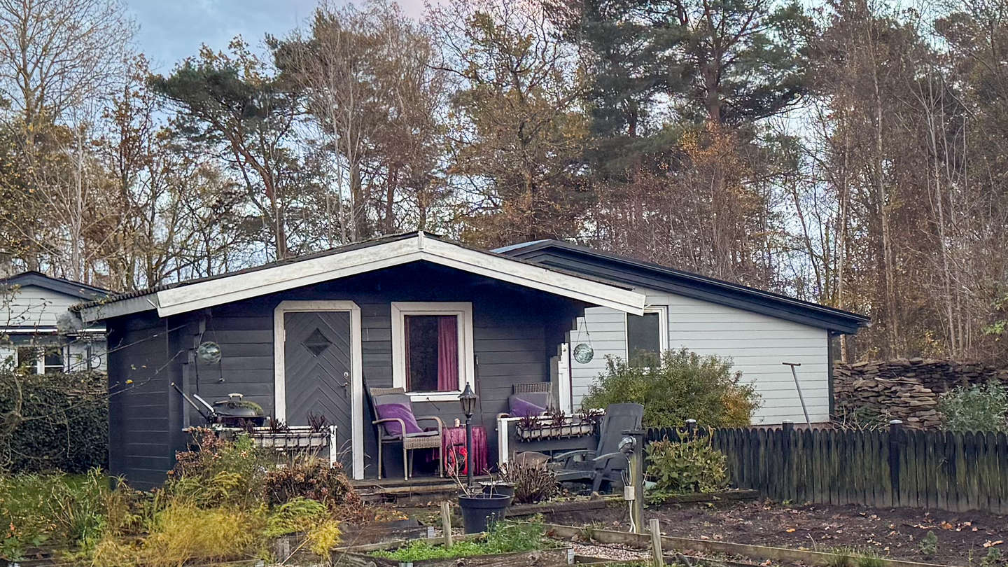 I haven har Margit Hansen haft sin søn boende i et anneks, for hun er ikke længere tryg ved at have ham boende i huset, og han har haft svært ved at finde et sted at bo for sig selv. Foto: Sarah Thun Kristensen
