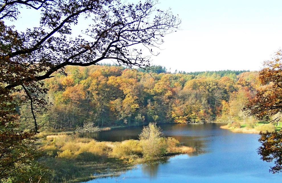 Rekordstor plan: Danmark skal lgges om