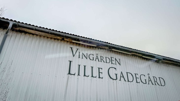 Heldigvis er der ogs&aring; restauranten - og der er masser af vin i tankene, fort&aelig;ller vinbonden, som ikke er bekymret. Foto: Sarah Thun Kristensen