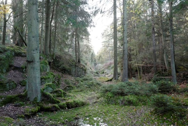 N�vn freder arealer i Paradisbakkerne 