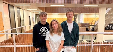 Presset af regler: 'Det fortæller jo ikke hele historien'