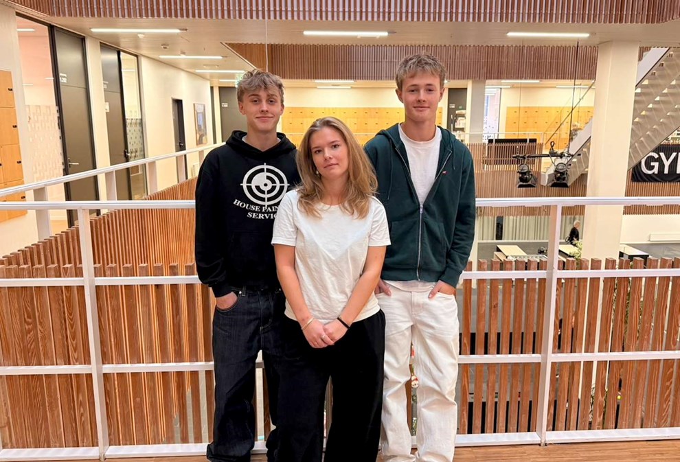 Presset af regler: 'Det fortller jo ikke hele historien'