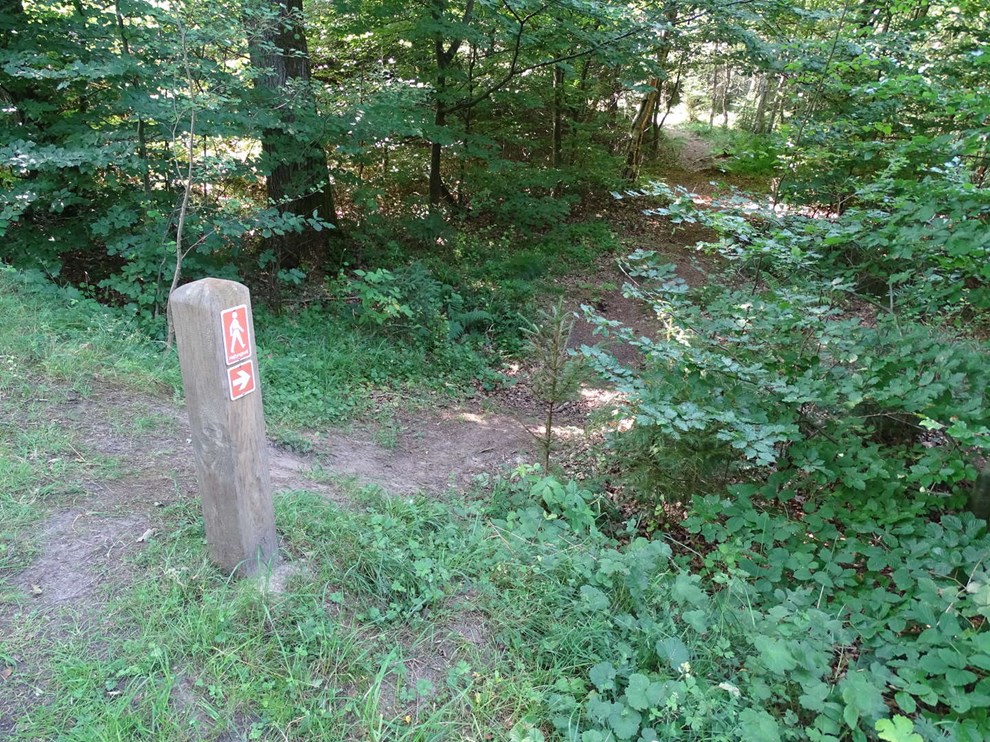 Unikt forlb: Populrt udflugtsml knopskyder