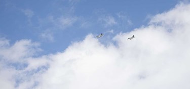 Kan være 'scenarier, hvor Bornholm bliver inddraget'