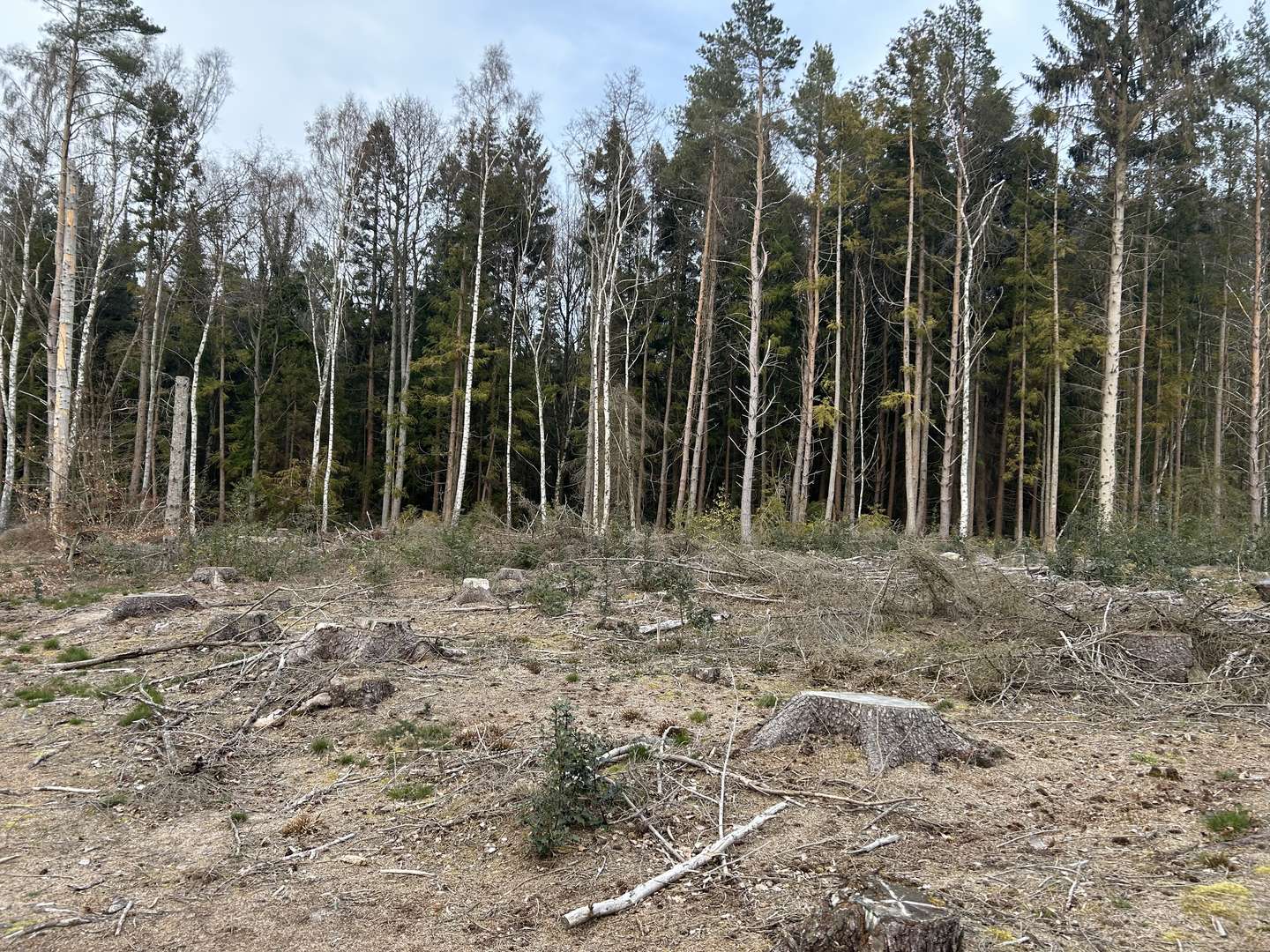 Vi er ved at �del�gge det