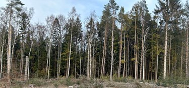 Vi er ved at ødelægge det