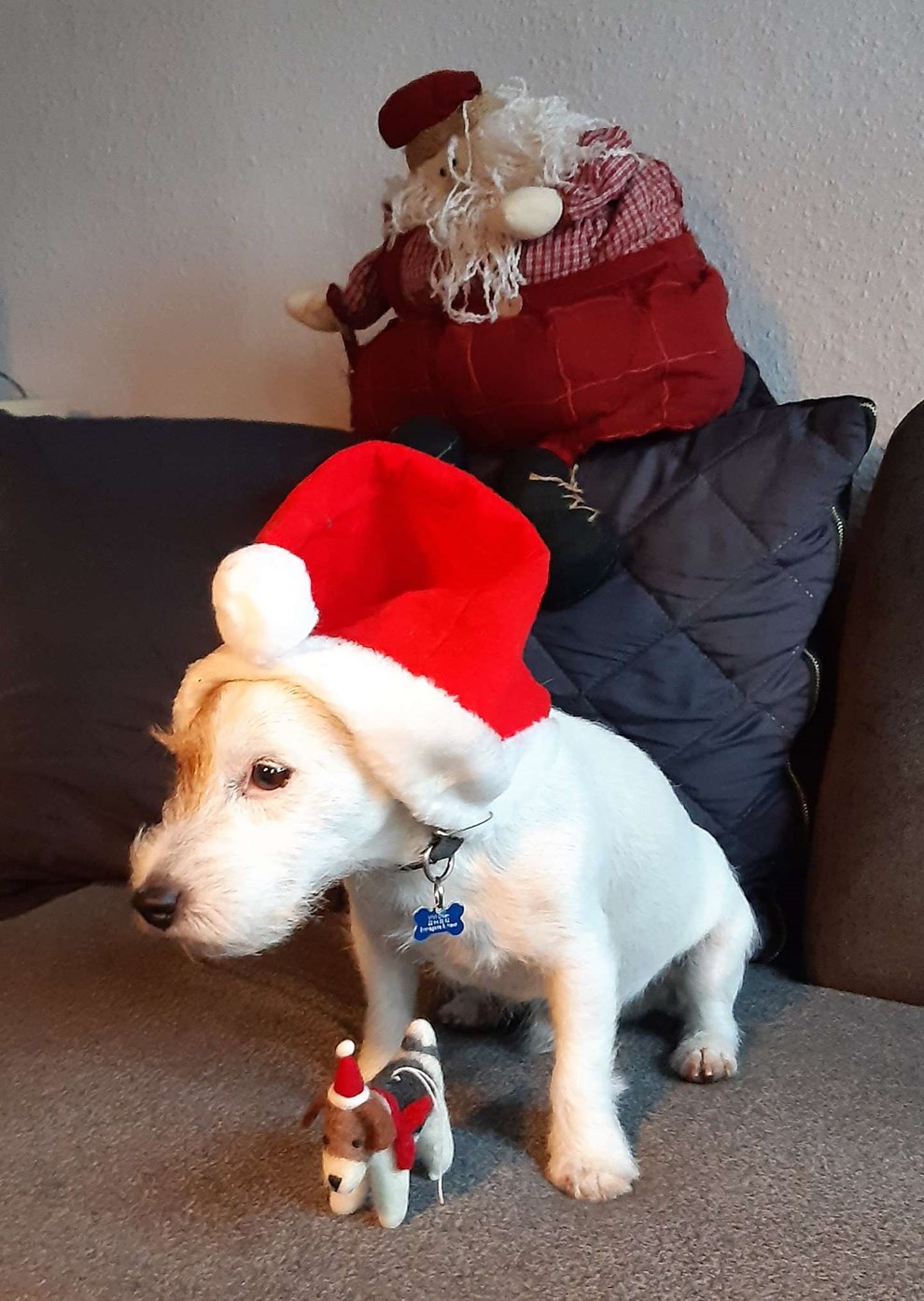 Dagens billede: Julemænd klar til højsæson Dagens billede: Julemænd klar til højsæson