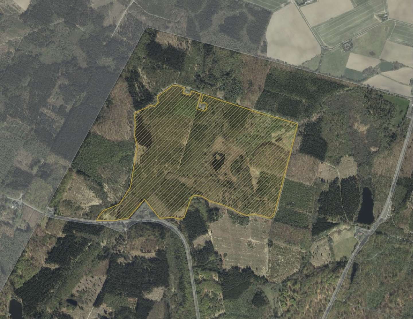 Gravgaard: Hegn, hensyn og helhed 