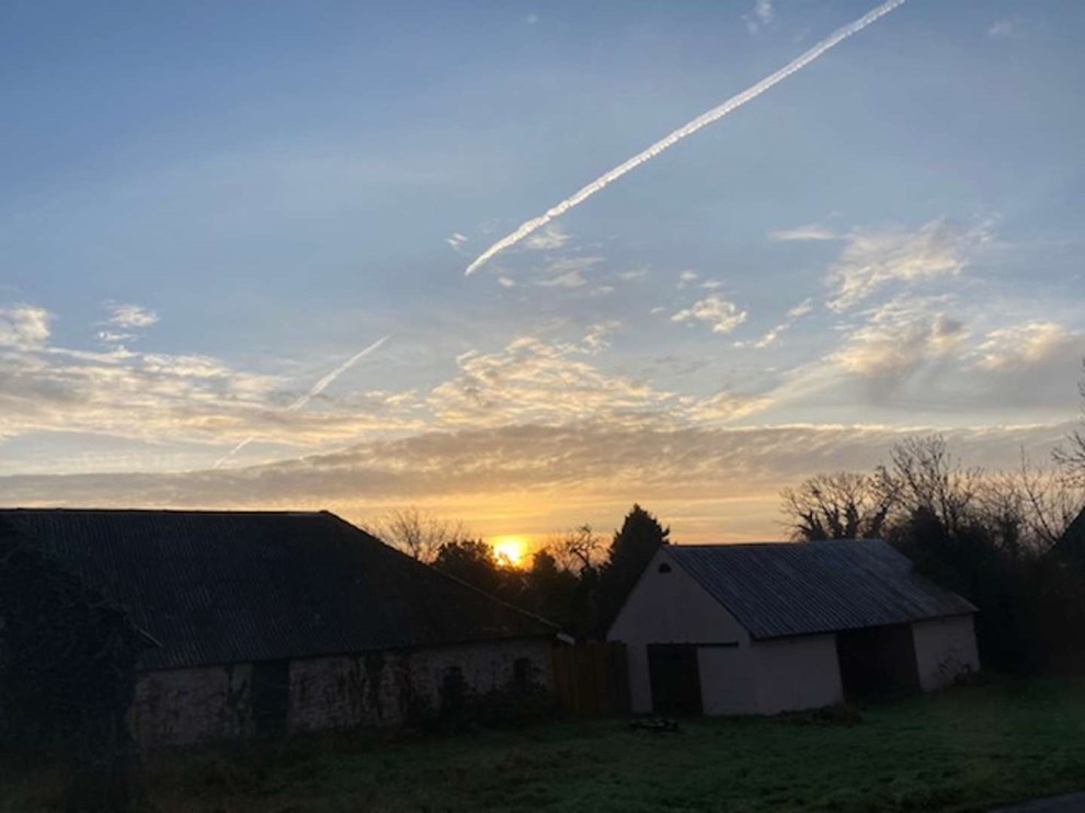 Dagens billede: Morgenstund med guld i mund