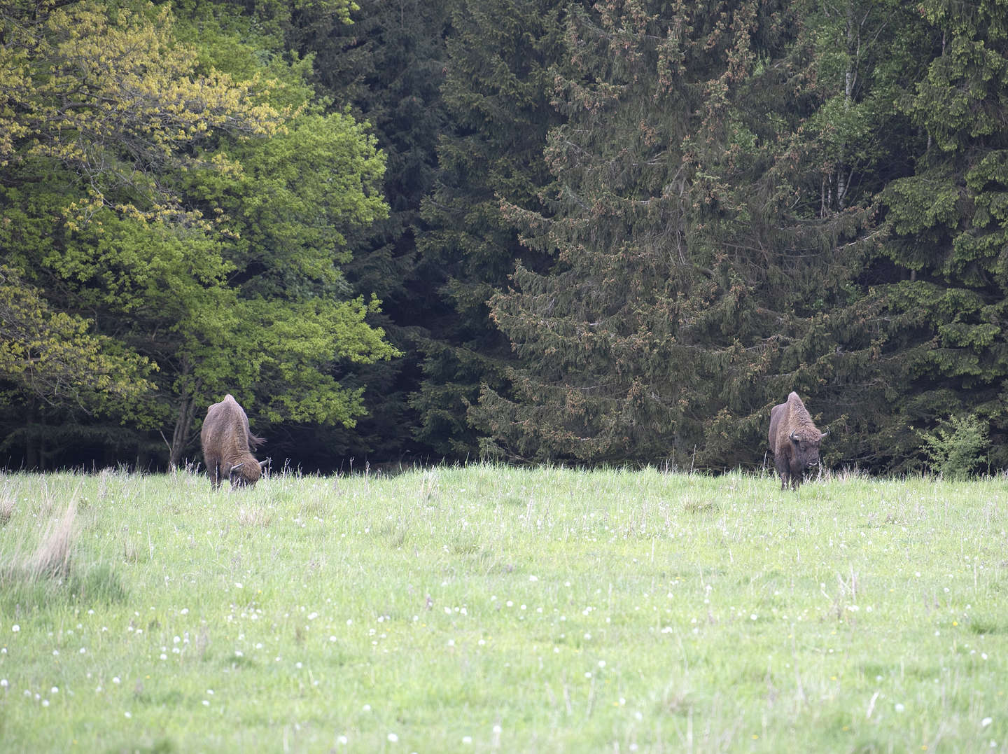 Omstridt projekt rykker t�ttere p�: Tro p� �bning n�ste �r