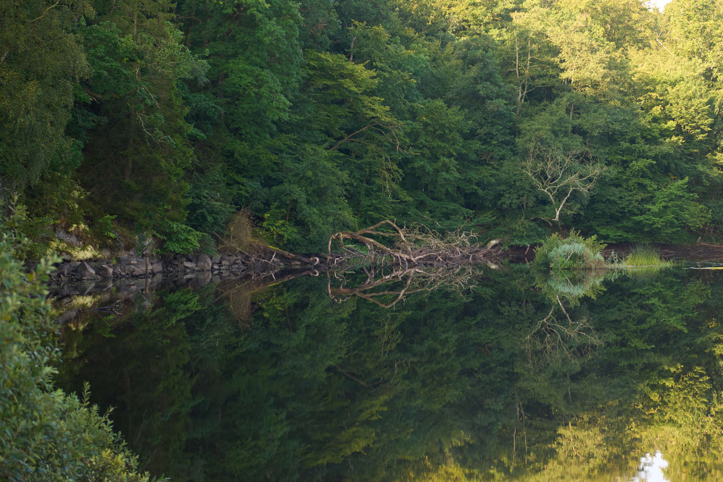Skovbadning er ikke til grin