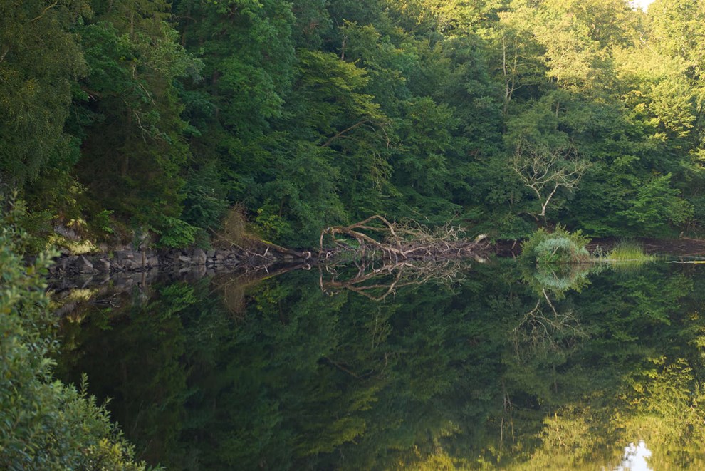 Skovbadning er ikke til grin