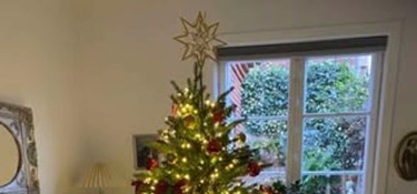 Her er læsernes juletræer