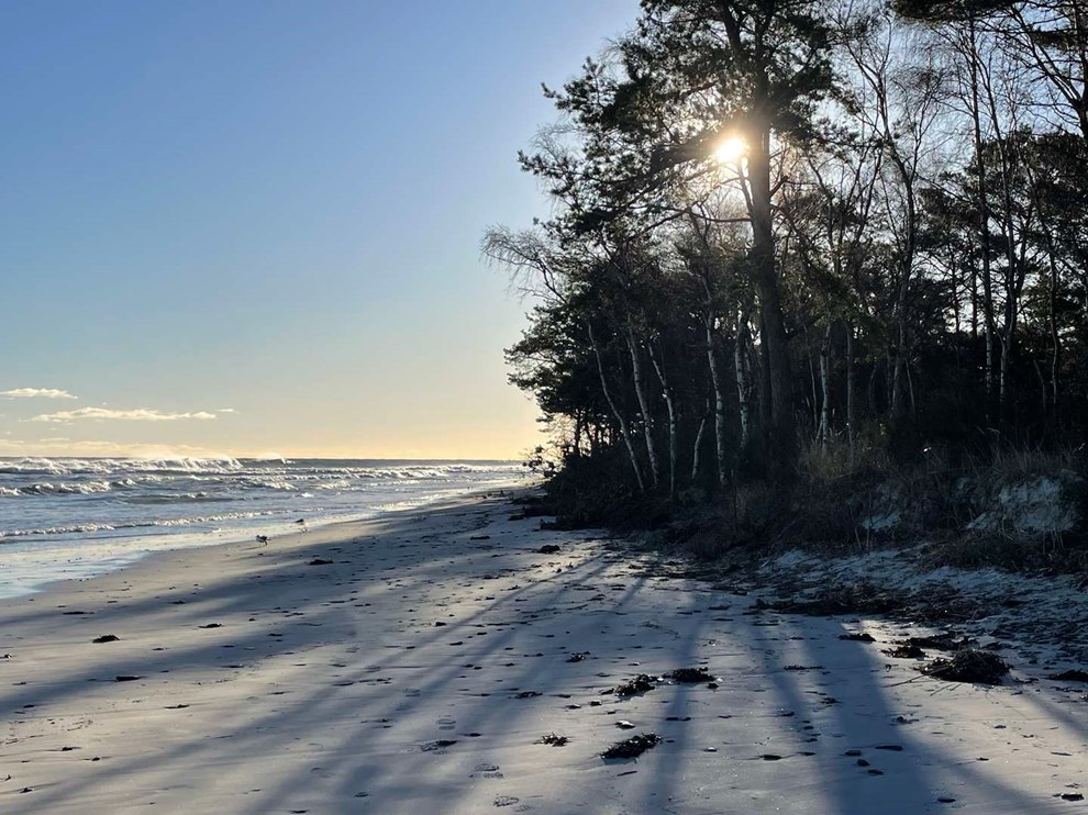 Dagens billede: Sk�n solskin langs Snogeb�k strand