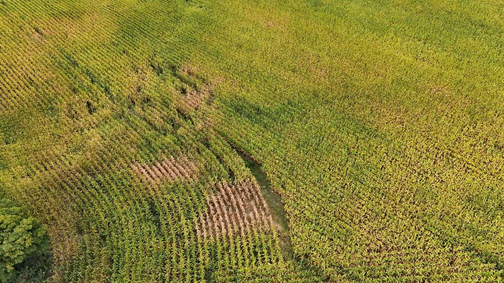 De bornholmske marker er kemiske �rkener